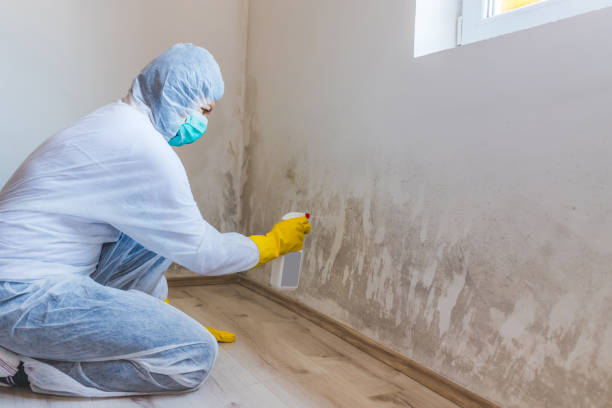 Mold inspector in Point Pleasant Beach performing thermal imaging