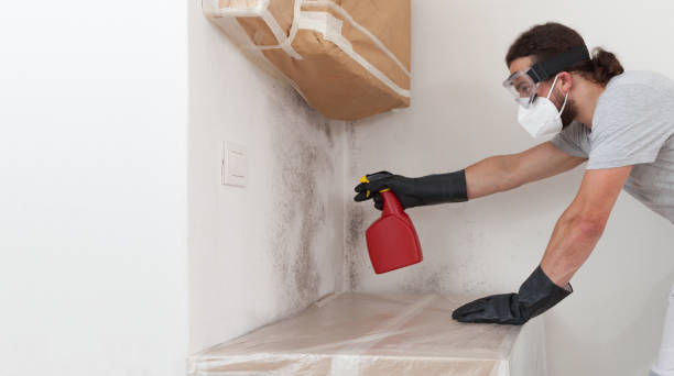 Attic Mold Remediation treatment on roof deck in Point Pleasant Beach